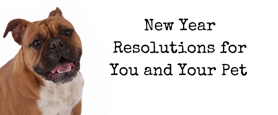 New Year Resolutions For You and Your Pet